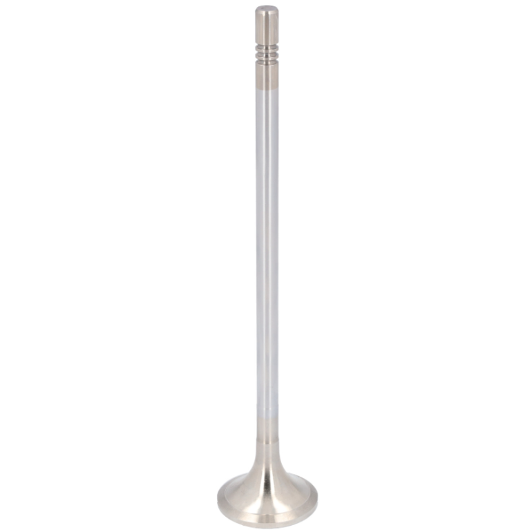 EXHAUST VALVE