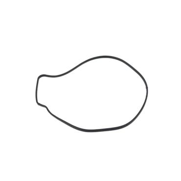 ENGINE COOLANT WATER PUMP GASKET