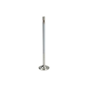INLET INTAKE VALVE