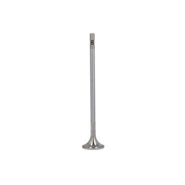 EXHAUST VALVE