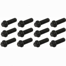 BRAKE CALIPER MOUNTING BOLTS (PKT 12)