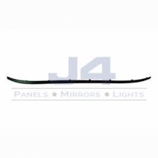 SUNVISOR CENTRE TRIM PANEL