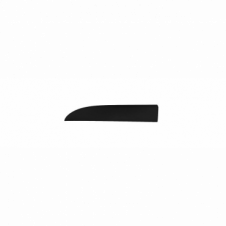 BLACK FRONT DOOR SIDE MOULDING PANEL PASSENGER SIDE LH