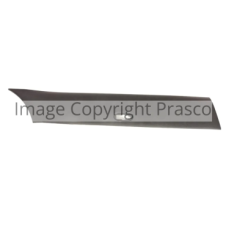 SIDE PROTECTION TRIM PANEL DRIVER SIDE RH