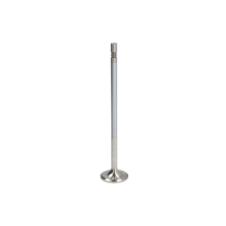 INLET INTAKE VALVE