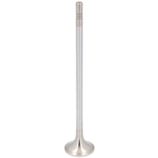 EXHAUST VALVE