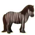 Poni Shetland Alazán