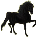 Caballo de montar Pura raza española Gris tordo