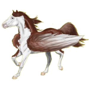 Pegaso de montar Pura raza española Bayo cereza