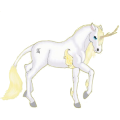 Unicornio de montar Berberisco Gris trucha