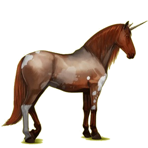 Unicornio de montar Pura raza española Gris tordo