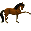 Caballo de montar Mustang Blanket Isabelo
