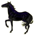 Caballo de montar Frisón Negro