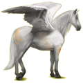Pegaso de montar Pura raza española Alazán
