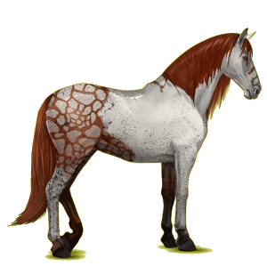 Caballo de montar Pura raza española Negro