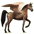 Pegaso de montar Árabe Gris tordo