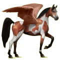 Pegaso de montar Árabe Gris tordo