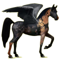 Pegaso de montar Árabe Bayo