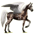 Pegaso de montar Árabe Gris claro