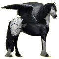 Pegaso de montar Frisón Negro