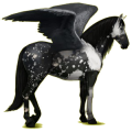 Pegaso de montar Pura raza española Gris tordo