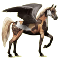 Pegaso de montar Árabe Gris claro