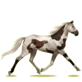 Caballo de montar Trotón francés Alazán
