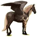 Pegaso de montar Pura raza española Gris claro