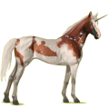 Unicornio de montar Pura sangre Bayo