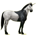 Unicornio de montar Pinto Pío Tobiano Isabelo