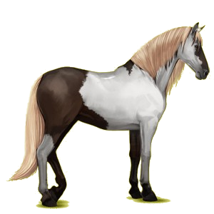 Caballo de montar Lusitano Negro