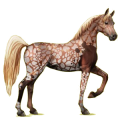 Pegaso de montar Árabe Gris trucha