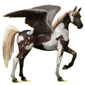 Pegaso de montar Árabe Alazán tostado