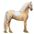 Pegaso de montar Frisón Negro