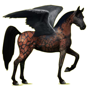 Pegaso de montar Árabe Bayo cereza