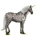 Unicornio de montar Pura raza española Gris tordo