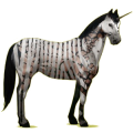Unicornio de montar alado Criollo argentino Isabelo