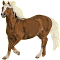 Caballo de montar Peruano de paso Palomino