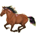 Caballo de montar Trotón francés Bayo
