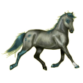 Caballo de montar Trotón francés Alazán