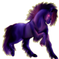 Pegaso de montar Pura raza española Bayo cereza