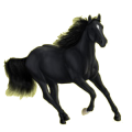 Caballo de montar Azteca Alazán crines lava