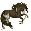 Caballo de montar Trotón francés Bayo cereza