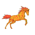 Caballo de montar Criollo argentino Alazán