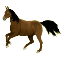 Caballo de montar Trotón francés Alazán