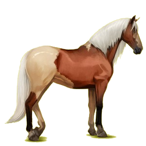 Caballo de montar Pura raza española Gris claro