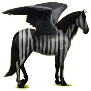 Pegaso de montar Pura raza española Negro