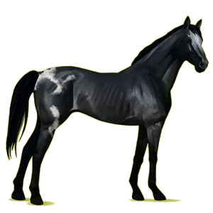 Pegaso de montar Pura sangre Gris claro