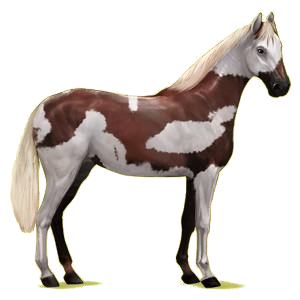 Caballo de montar Hanoveriano Alazán tostado