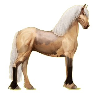 Caballo de montar Frisón Negro